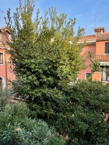 Ca' Della Carita' Apartment Венеция Екстериор снимка